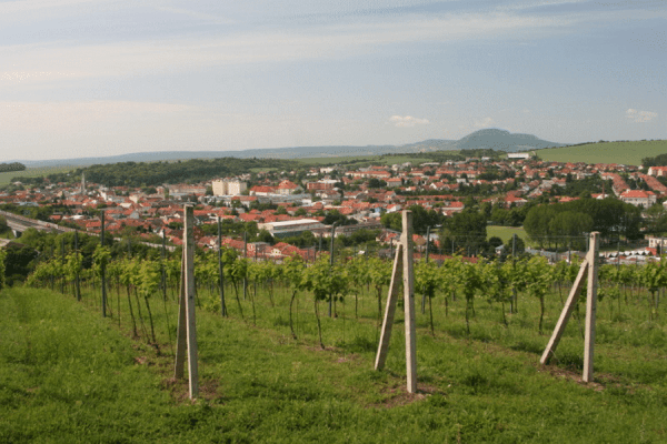 Altenberk Vini